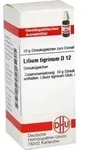 LILIUM TIGRINUM D 12 Globuli 10 g