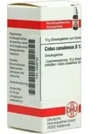 CISTUS CANADENSIS D 12 Globuli 10 g