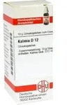 KALMIA D 12 Globuli 10 g