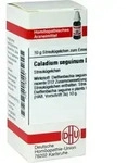 CALADIUM seguinum D 12 Globuli 10 g