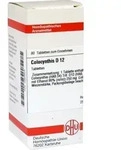 COLOCYNTHIS D 12 Tabletten 80 St