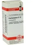HAPLOPAPPUS D 12 Globuli 10 g