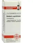 BERBERIS AQUIFOLIUM D 4 Globuli 10 g