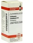COLLINSONIA CANADENSIS D 4 Globuli 10 g