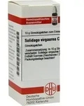 SOLIDAGO VIRGAUREA C 30 Globuli 10 g