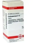 CARDIOSPERMUM D 12 Tabletten 80 St