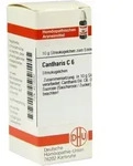 CANTHARIS C 6 Globuli 10 g