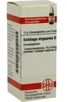 SOLIDAGO VIRGAUREA D 2 Globuli 10 g