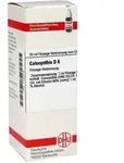 COLOCYNTHIS D 6 Dilution 20 ml