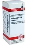 HAPLOPAPPUS D 6 Globuli 10 g