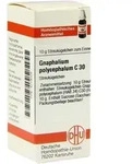 GNAPHALIUM POLYCEPHALUM C 30 Globuli 10 g