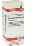 ECHINACEA PURPUREA D 2 Globuli 10 g