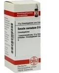 SECALE CORNUTUM D 6 Globuli 10 g