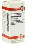 CAMPHORA C 30 Globuli 10 g