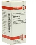 LEDUM D 4 Globuli 10 g