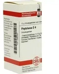 PHYTOLACCA D 4 Globuli 10 g