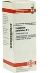 EUPATORIUM PERFOLIATUM D 6 Dilution 20 ml