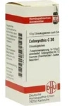 COLOCYNTHIS C 30 Globuli 10 g