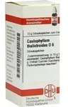 CAULOPHYLLUM THALICTROIDES D 6 Globuli 10 g