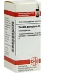 SECALE CORNUTUM D 4 Globuli 10 g
