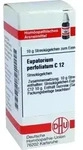 EUPATORIUM PERFOLIATUM C 12 Globuli 10 g