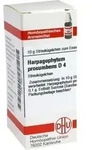 HARPAGOPHYTUM PROCUMBENS D 4 Globuli 10 g