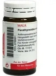 PARATHYREOIDEA COMP.Globuli 20 g