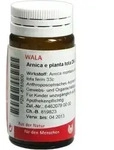 ARNICA E Planta tota D 6 Globuli 20 g
