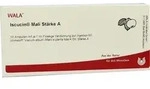 ISCUCIN mali St&auml;rke A Ampullen 10 ml