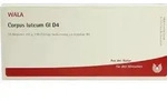 CORPUS LUTEUM GL D 4 Ampullen 10 ml