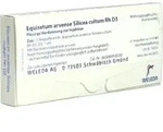 EQUISETUM ARVENSE Silicea cultum D 3 Ampullen 8 St