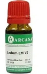 LEDUM LM 6 Dilution 10 ml