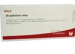BRYOPHYLLUM COMP.Ampullen 10 ml