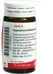 HYPOPHYSIS/STANNUM Globuli 20 g