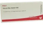 VISCUM MALI Senker D 30 Ampullen 10 ml