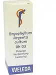 BRYOPHYLLUM ARGENTO cultum Rh D 3 Dilution 20 ml