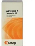 SYNERGON KOMPLEX 53 Abrotanum N Tabletten 100 St