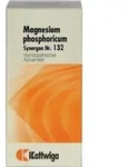 SYNERGON KOMPLEX 132 Magnesium phosphoricum Tabl. 100 St
