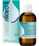 METASILICEA S Mischung 100 ml
