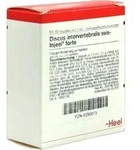 DISCUS INTERVERTEBRALIS suis Injeel forte Ampullen 10 St