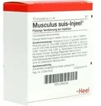 MUSCULUS SUIS Injeel Ampullen 10 St