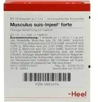 MUSCULUS SUIS Injeel forte Ampullen 10 St
