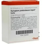 SYZYGIUM JAMBOLANUM INJEEL forte Ampullen 10 St