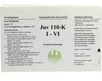 JUV 110 K I-VI Globuli 120 g