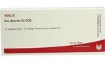 IRIS BOVIS GL D 30 Ampullen 10 ml