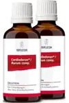 CARDIODORON/AURUM comp.Dilution 100 ml
