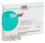 SIBOSAN Kapseln 30 St
