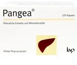 PANGEA Kapseln 120 St