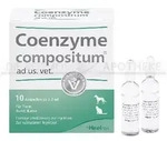 COENZYME COMPOSITUM ad us.vet.Ampullen 10 St