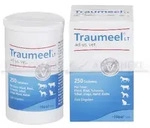 TRAUMEEL LT ad us.vet.Tabletten 250 St